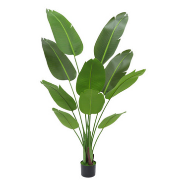 Planta Artificial Banano Con Maceta Decoración Altura 160 Cm