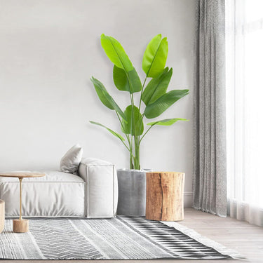 Planta Artificial Banano Con Maceta Decoración Altura 160 Cm